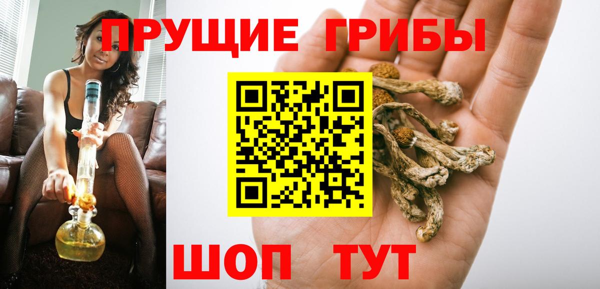 Галлюциногенные грибы мицелий  Вход с VPN  Кизилюрт 
