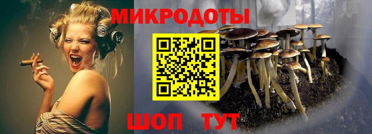 Псилоцибиновые грибы Psilocybine cubensis Кизилюрт